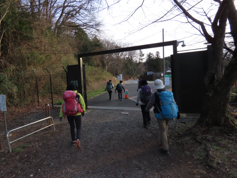 日和田山、物見山